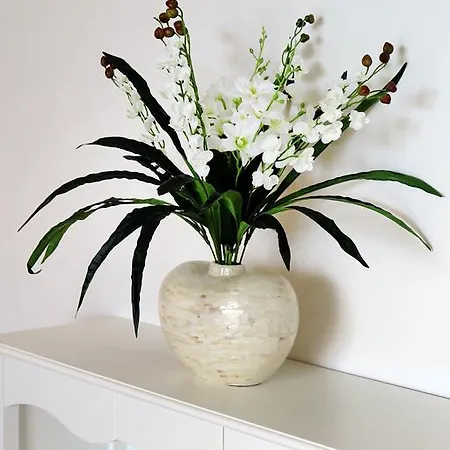 Madreperla 3* Gallipoli