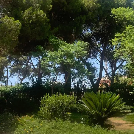 Madreperla 3*