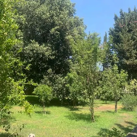 Madreperla
